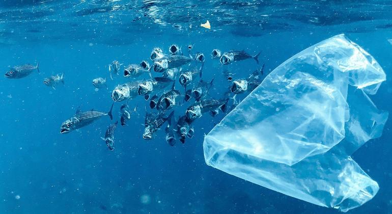 L'ONU estime que 18 à 20 % des déchets plastiques mondiaux finissent dans l’océan.